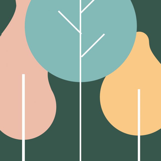 Enterprise - Image 2